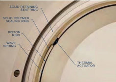 Detailed view with SHIELD passive thermal shutdown seal components identified