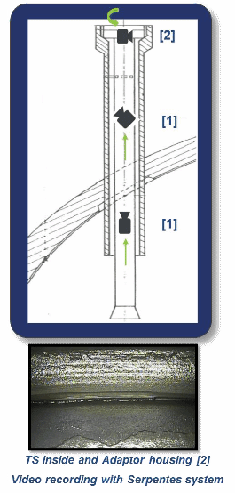 Figure 3 - Inspections with Serpentes system